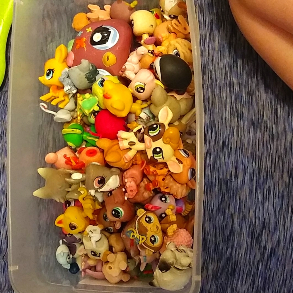 Littlest pet shop